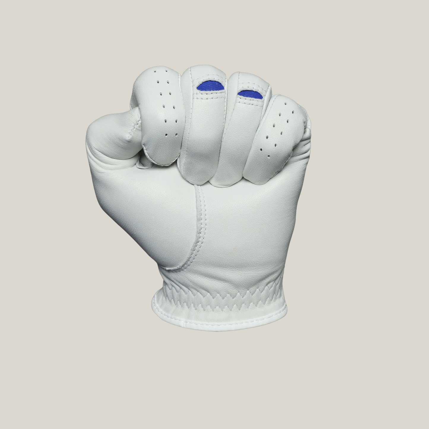 Men's Champs Golf Glove