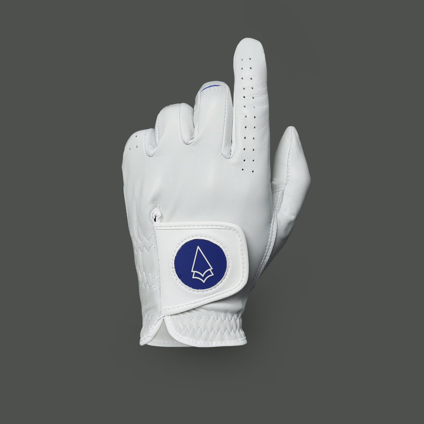 Men's Champs Golf Glove