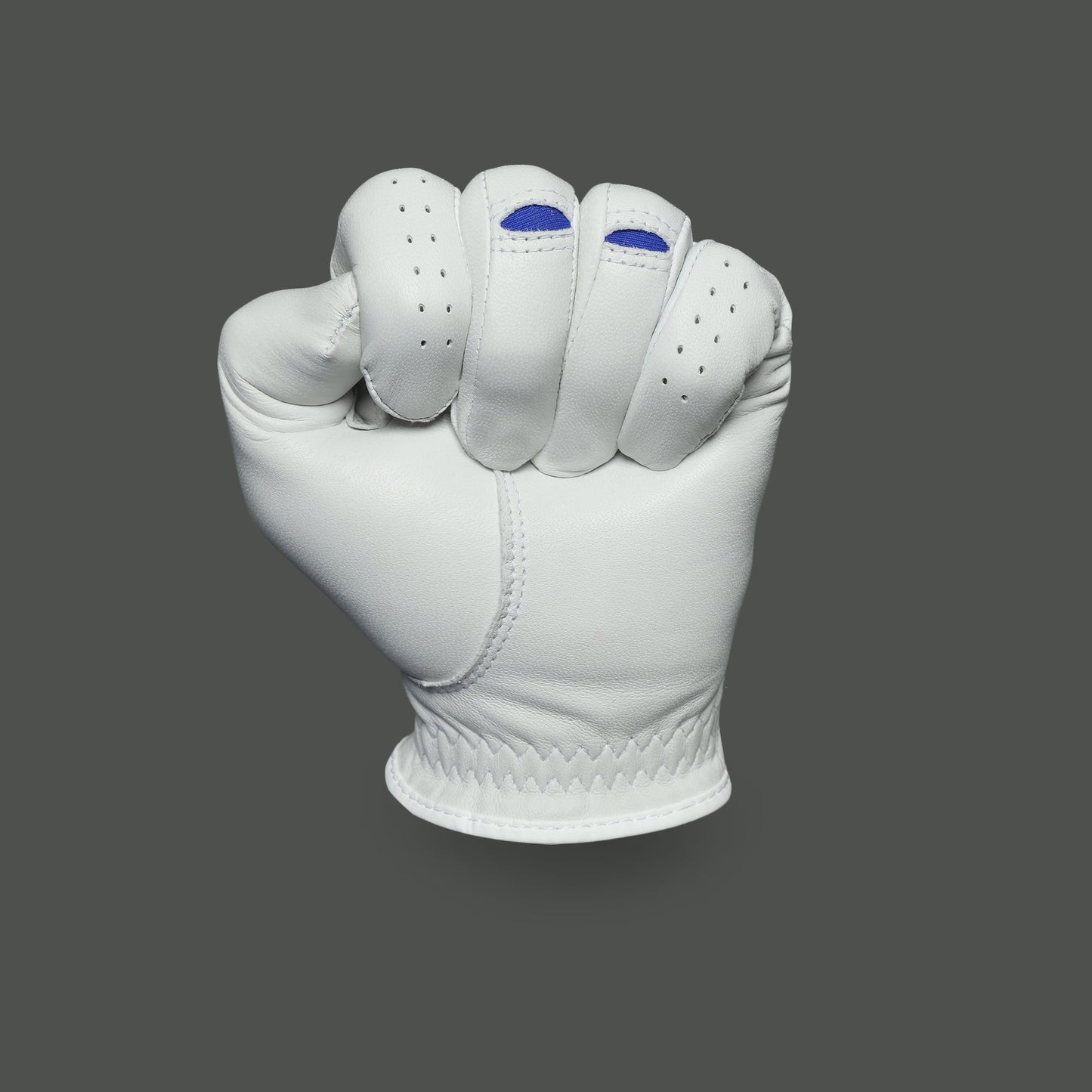 Men's Champs Golf Glove